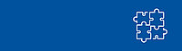 APS FEDRA advanced process modeling 