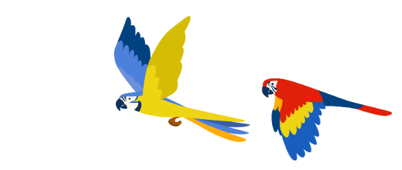 Zwei bunte Papageien fliegen nebeneinander durch einen klaren, blauen Himmel.